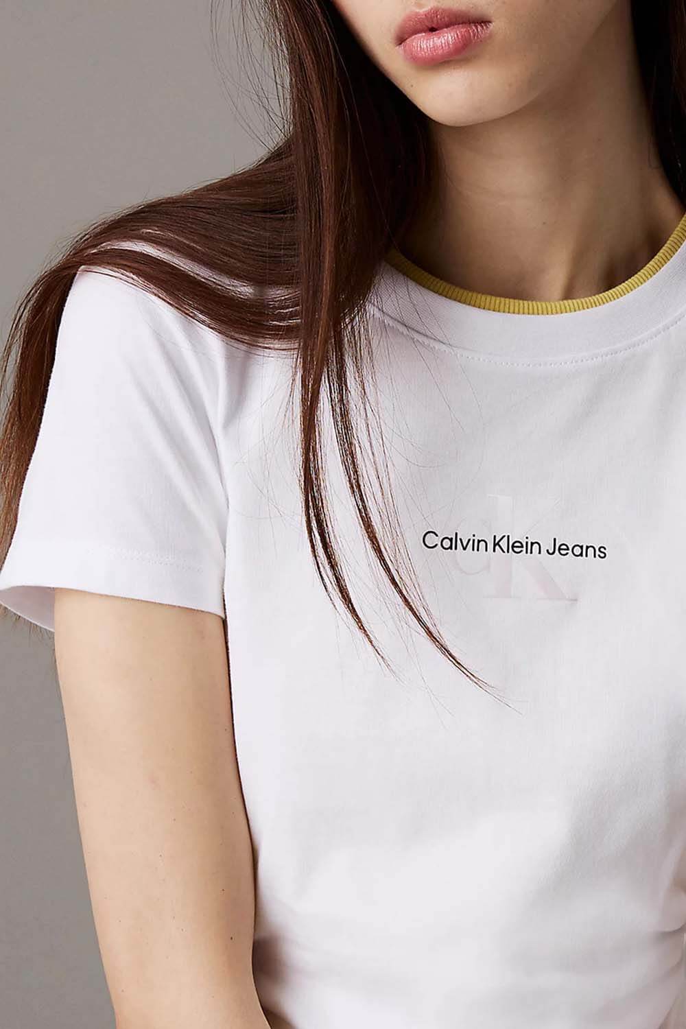 Calvin Klein T-Shirt Gradient Monologo