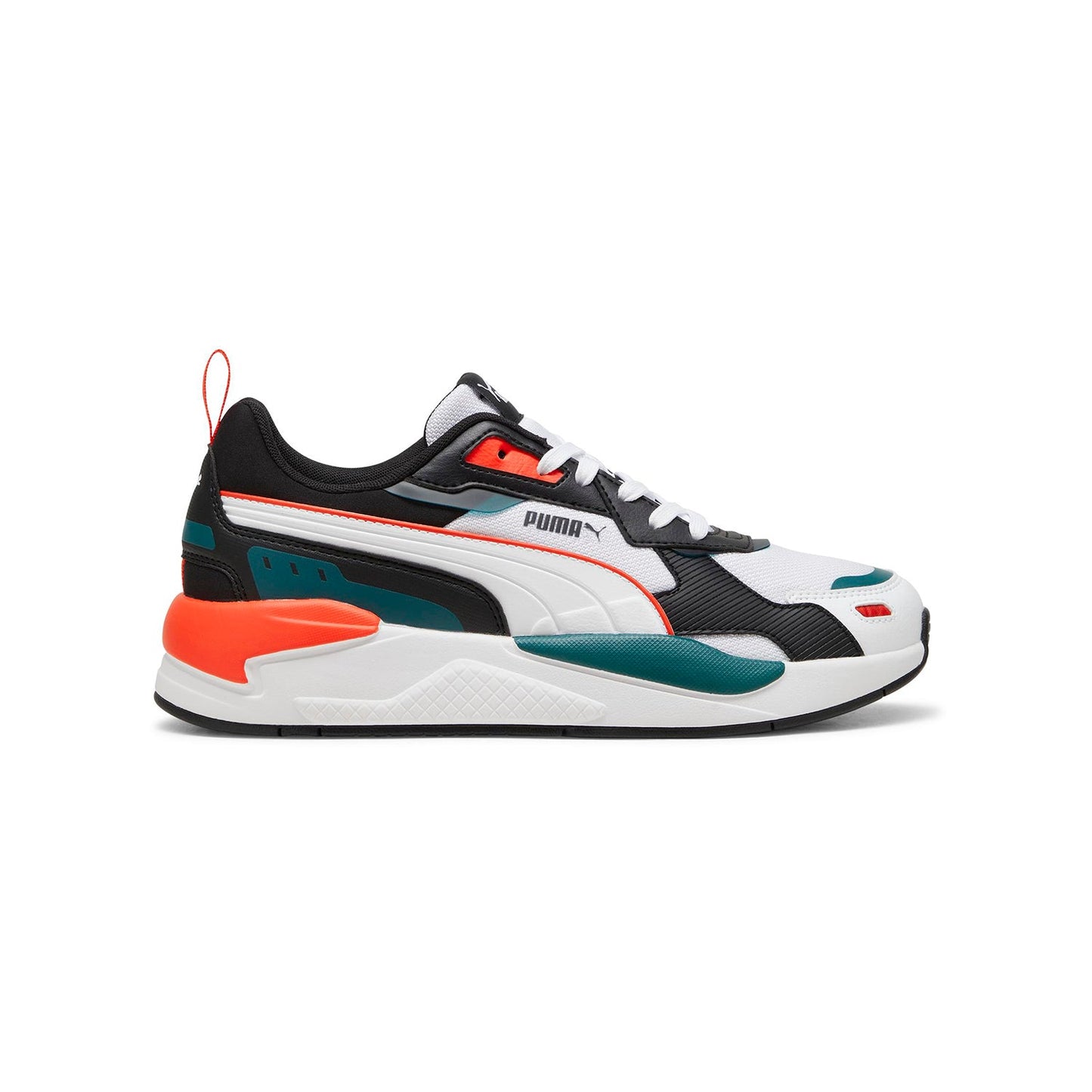Puma x-ray3
