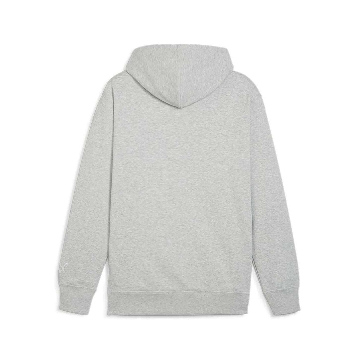 Puma Team Hoodie