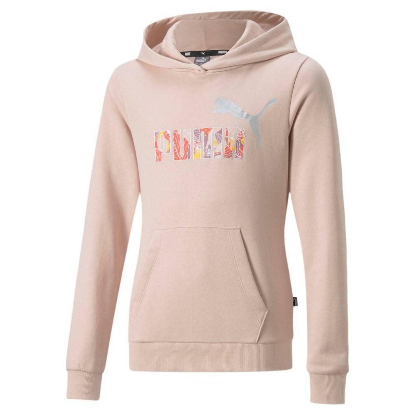 Puma Sweat à Capuche